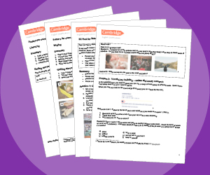 https://www.cambridgeenglish.org/learning-english/activities-for-learners/