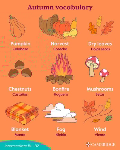 Illustration: autumn vocabulary
