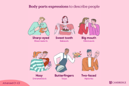 Illustration: body parts expressions to describe people